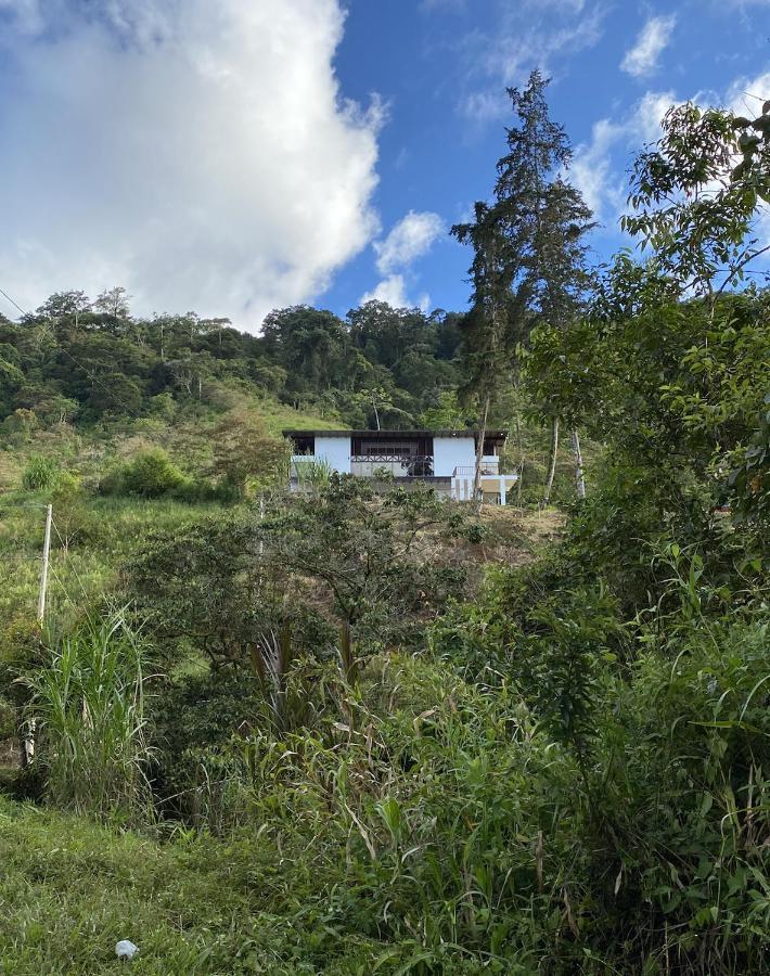 Arte De Plumas Birding Lodge Cartago Bagian luar foto