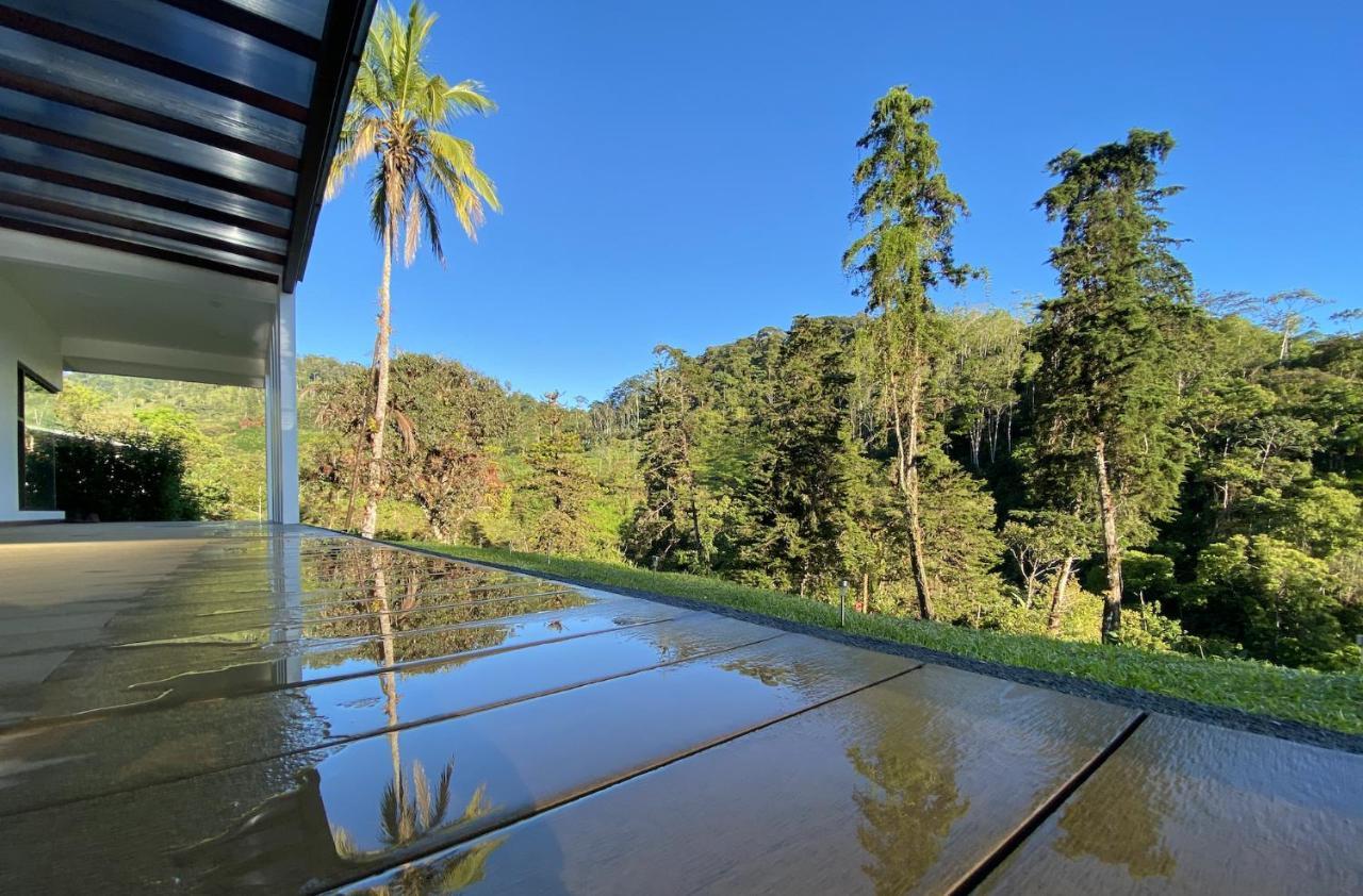 Arte De Plumas Birding Lodge Cartago Bagian luar foto