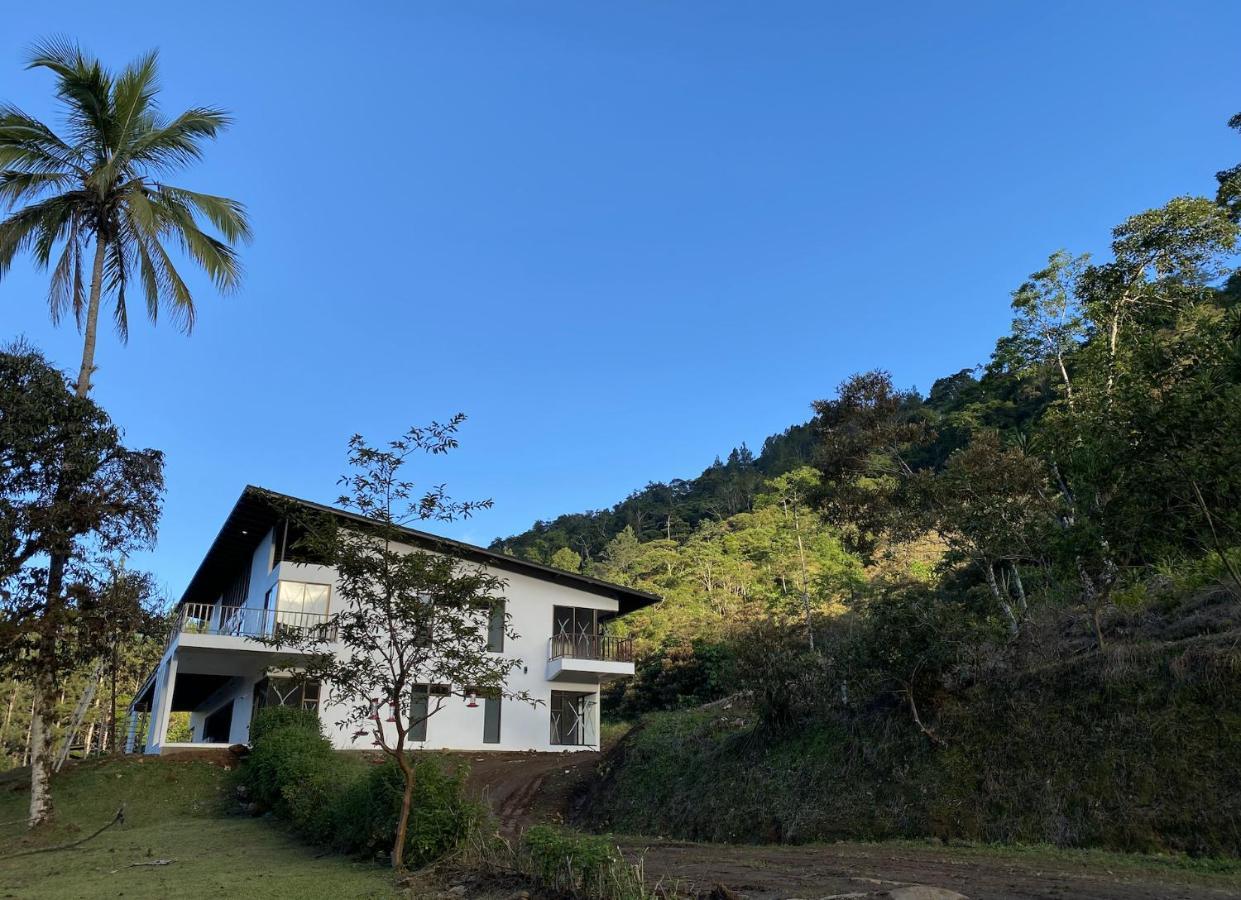 Arte De Plumas Birding Lodge Cartago Bagian luar foto